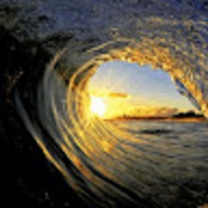 Meet your Posher, Martin